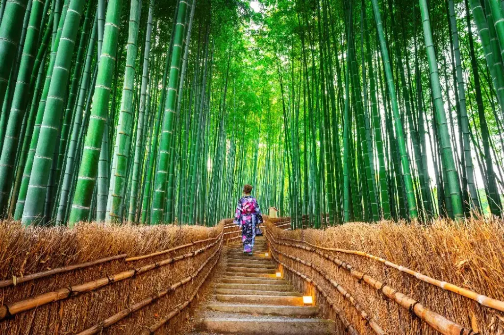 DU LỊCH NHẬT BẢN : KANSAI - OSAKA - YAMANASHI  - TOKYO - NARITA 2026 (VJ)