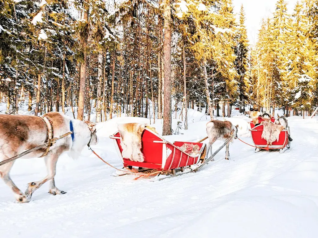 DU LỊCH BẮC ÂU: ĐAN MẠCH – NA UY – PHẦN LAN 2026 (TK)