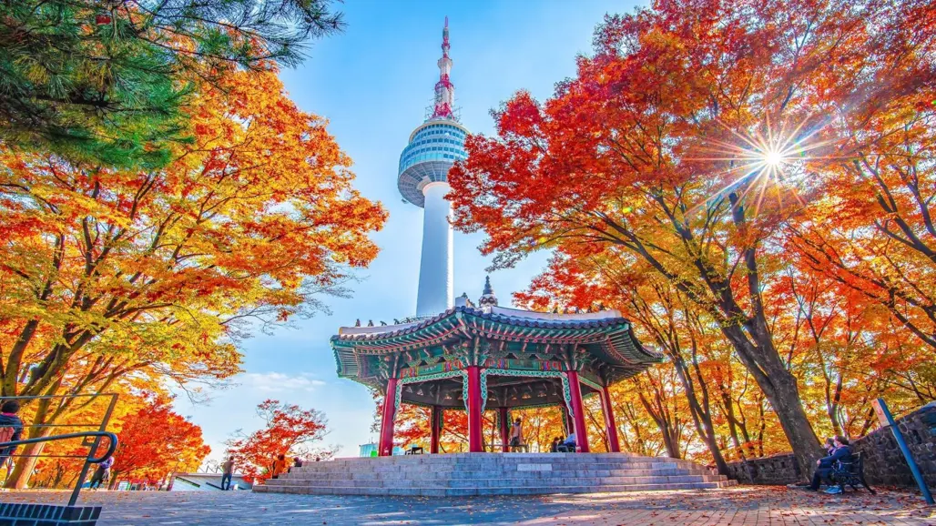 (HN) DU LỊCH HÀN QUỐC: SEOUL - NAMI -JUMP SHOW 2026 (9G)