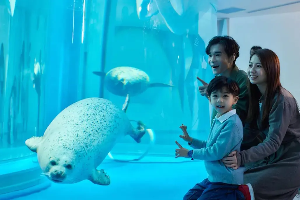 DU LỊCH ĐÀI LOAN: ĐÀI BẮC – ĐÀI TRUNG – CAO HÙNG TẾT 2026 (EVA)