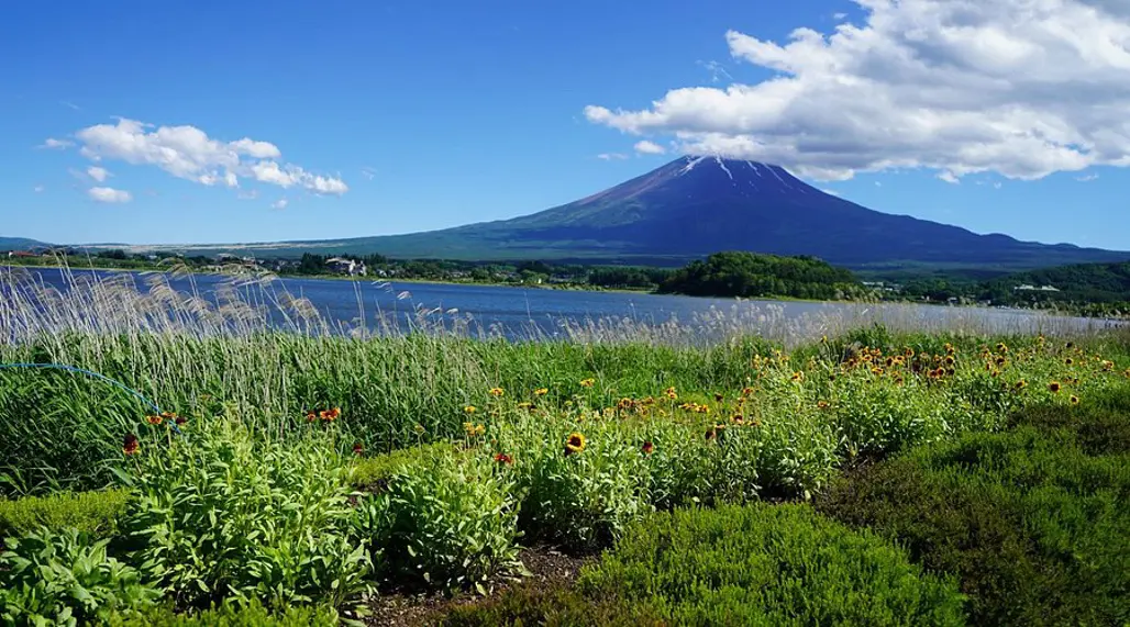 DU LỊCH NHẬT BẢN: NARITA - TOKYO - YAMANASHI 2025 (VN)