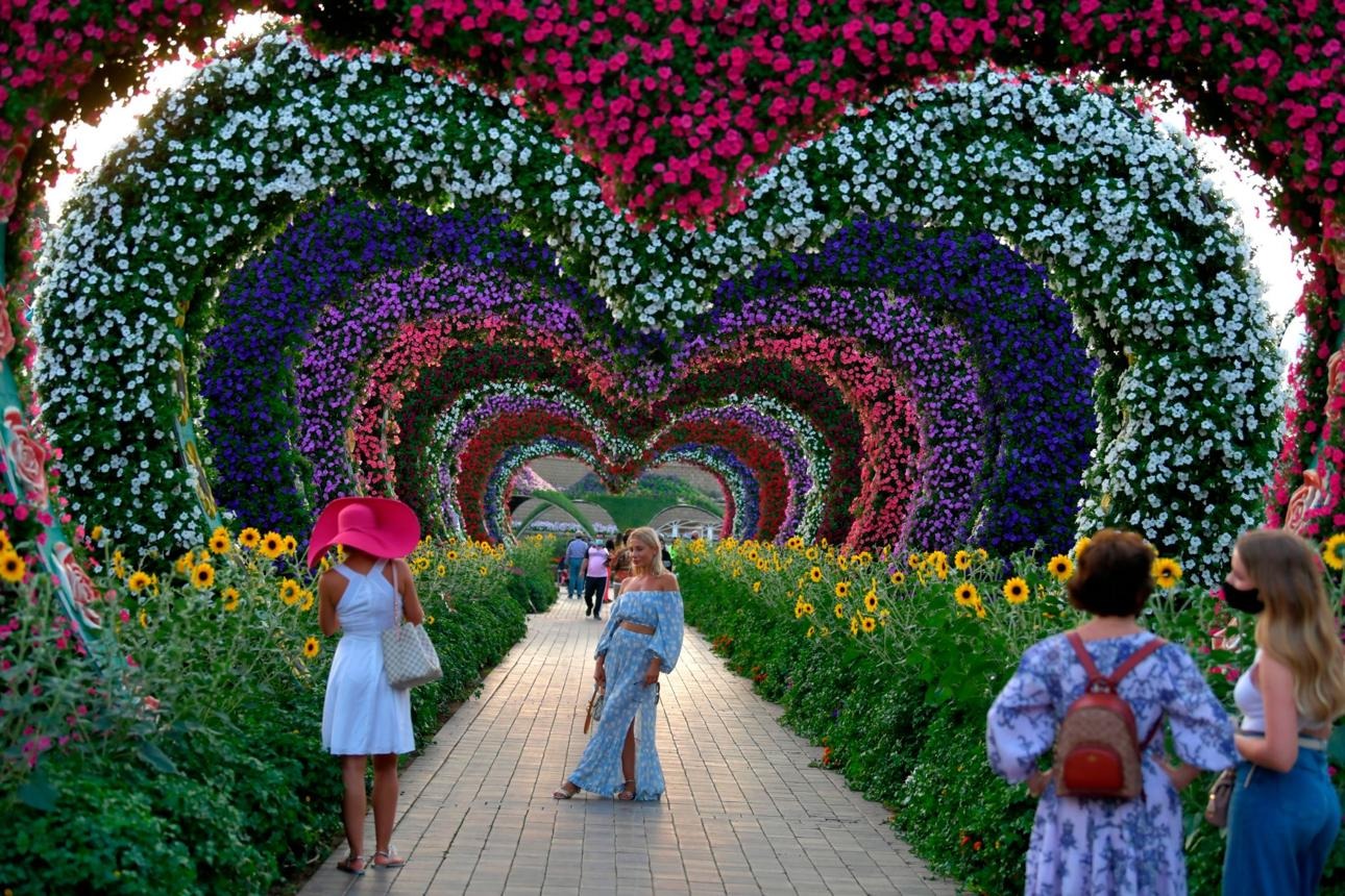 UAE-GARDEN-DAILY LIFE