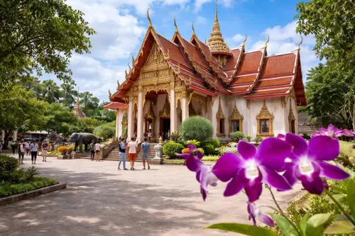 Lưu ý khi đi Phuket Phi Phi 2026: Những điều cần tránh lần đầu