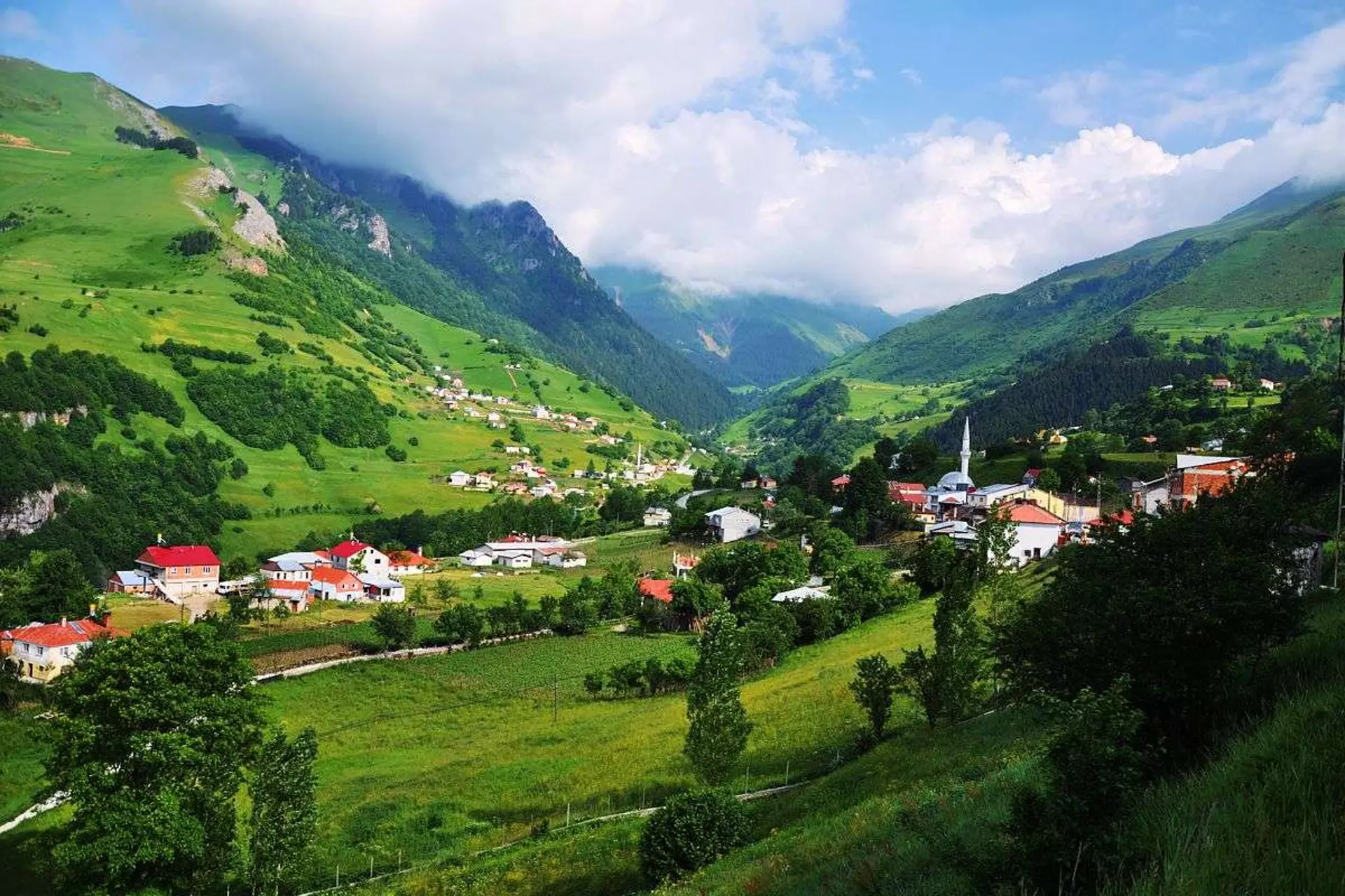 Làng Hamsiköy – Ngôi làng bình yên giữa núi rừng Thổ Nhĩ Kỳ 2026 