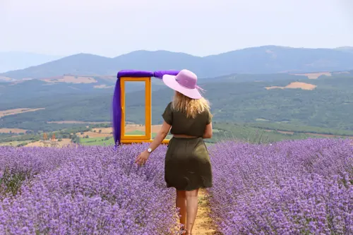 Mùa hoa lavender Thổ Nhĩ Kỳ 2026 - Sắc tím ít ai biết ngoài Cappadocia