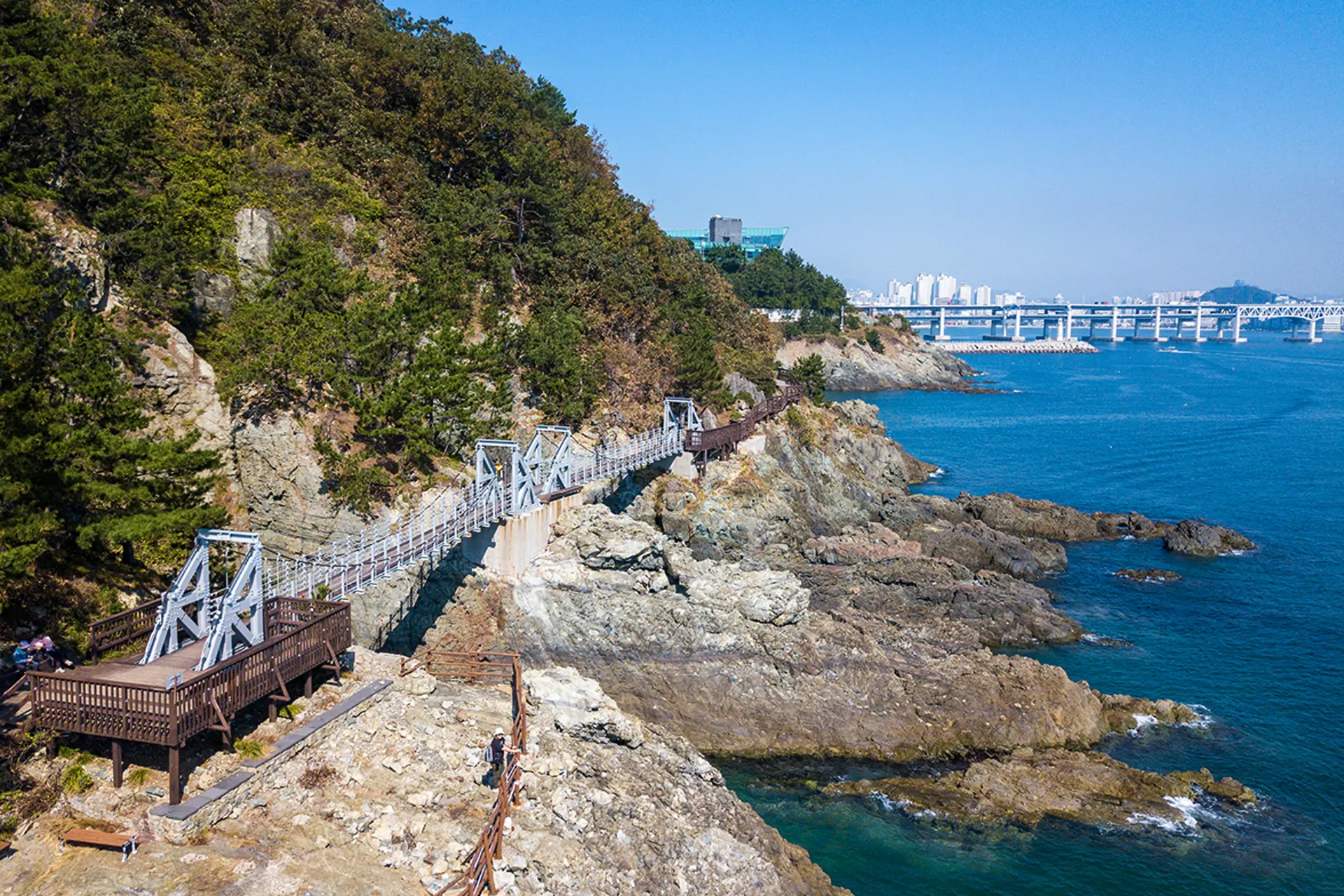 Tết Busan 2026 - Trải nghiệm Tết cổ truyền tại thành phố biển Busan xinh đẹp 