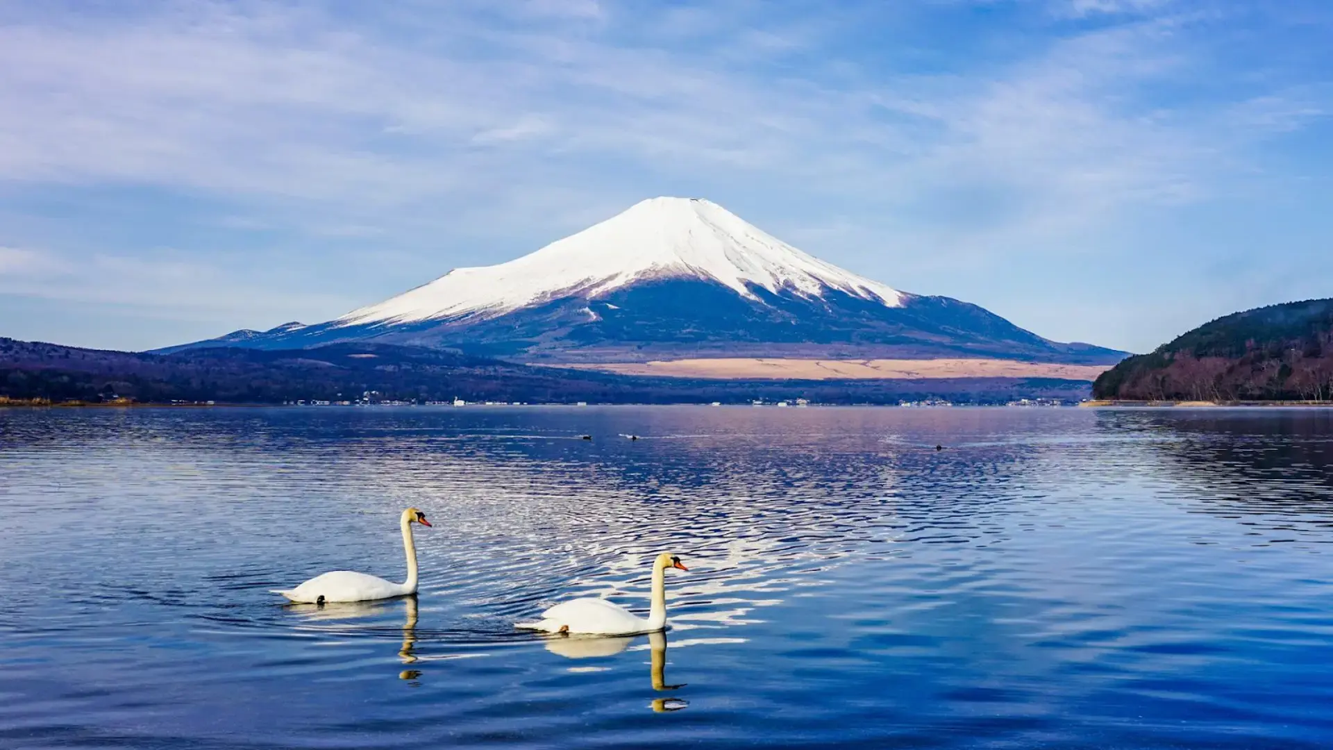 Du lịch Yamanashi Tết 2026 - Khám phá Oshino Hakkai & ngắm Fuji mùa đông