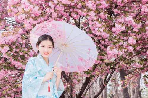Du lịch Nhật Bản hoa anh đào - Đi đâu ngắm sakura từ cuối tháng 2? 