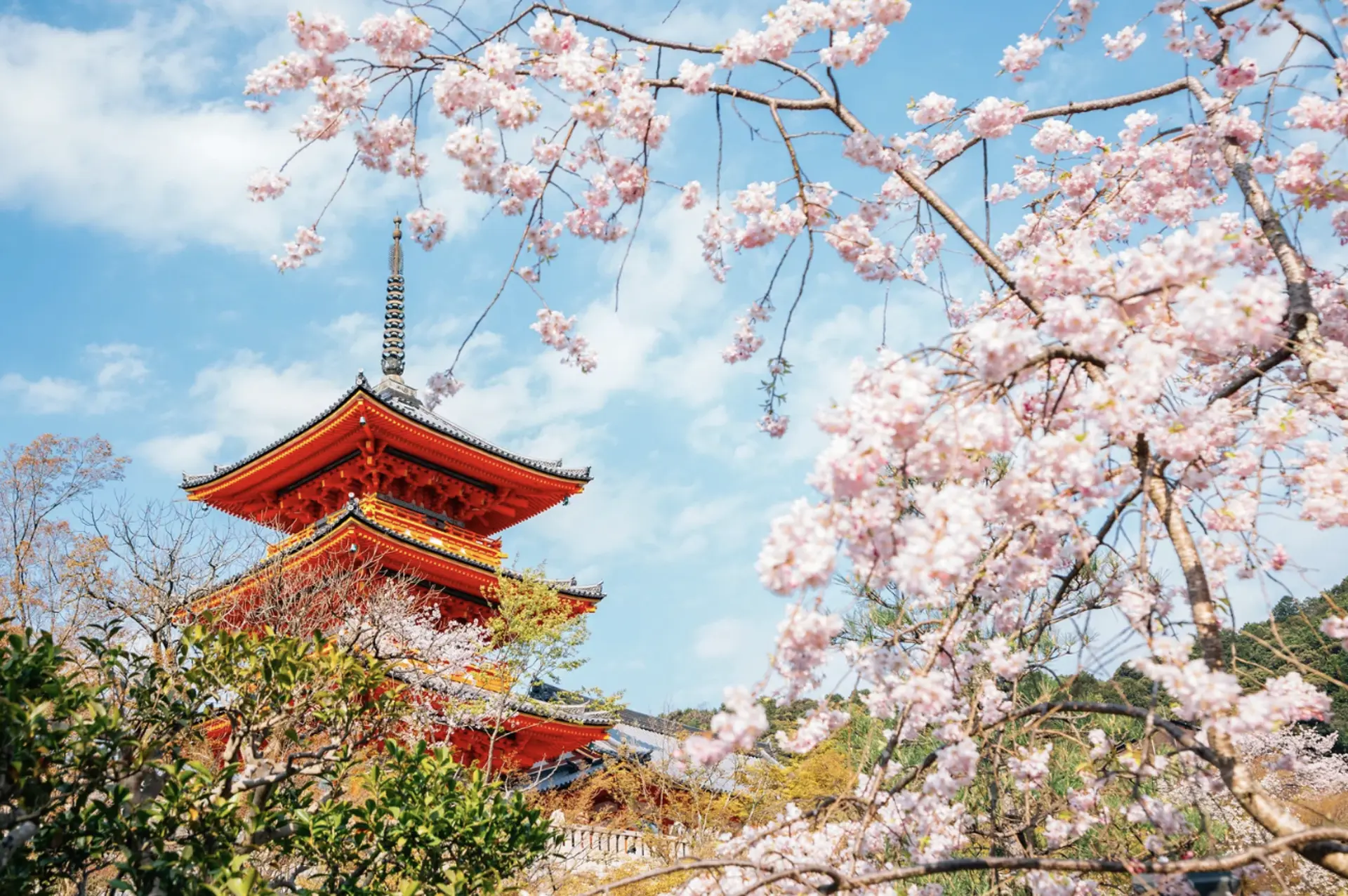 Du lịch Nhật Bản tháng 2 - Bật mí bí mật hoa anh đào nở sớm cuối đông