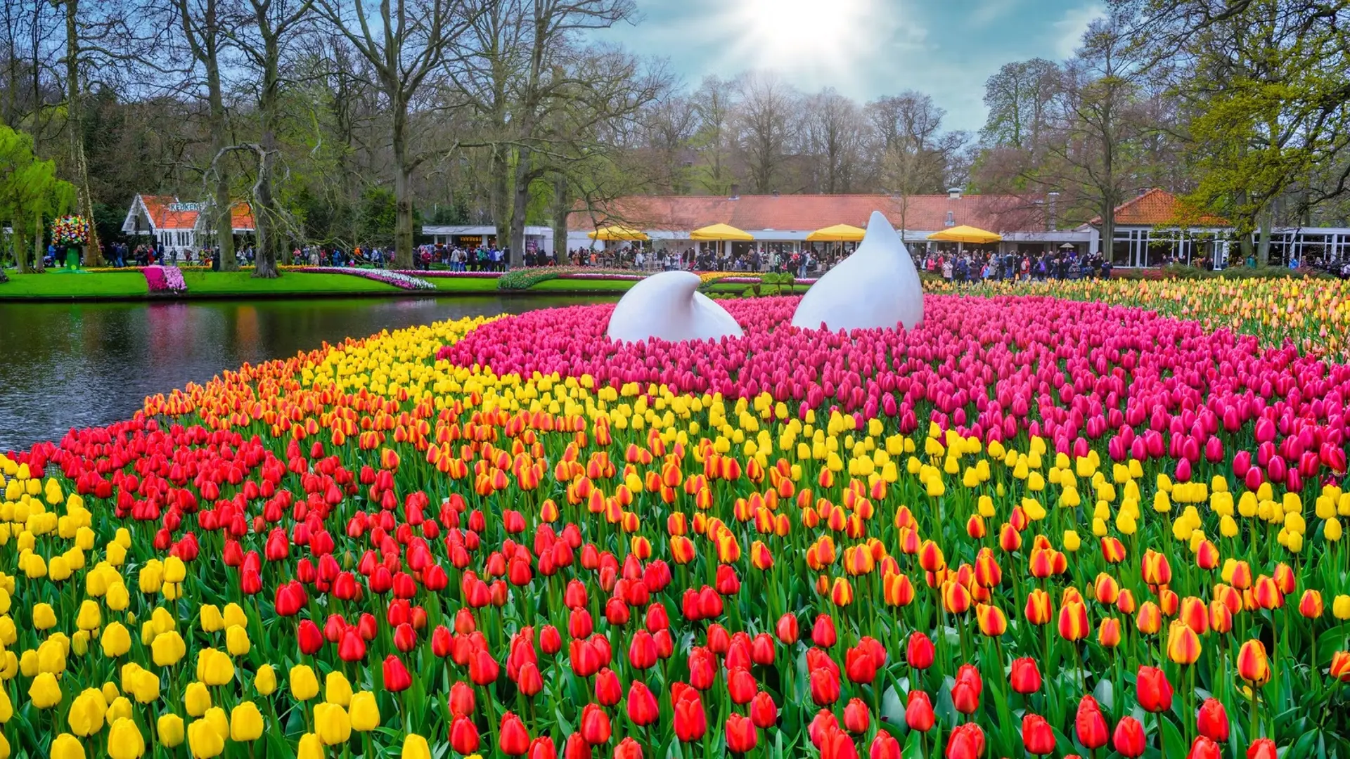 Vé Keukenhof 2026 – Hướng dẫn mua vé tiết kiệm khi du lịch Châu Âu