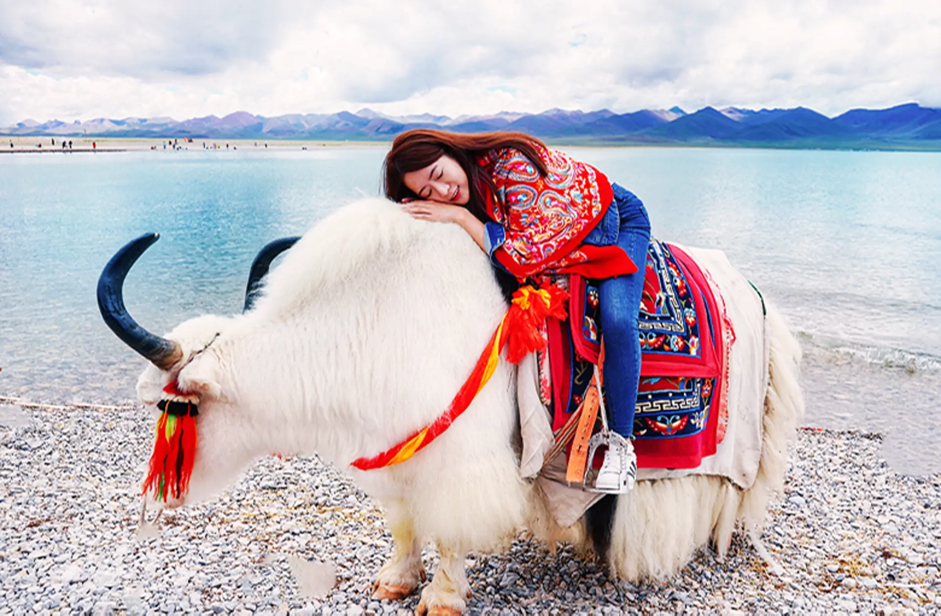 Sốc độ cao Tây Tạng có nguy hiểm không? Bí quyết cho chuyến đi an toàn mới nhất 2026