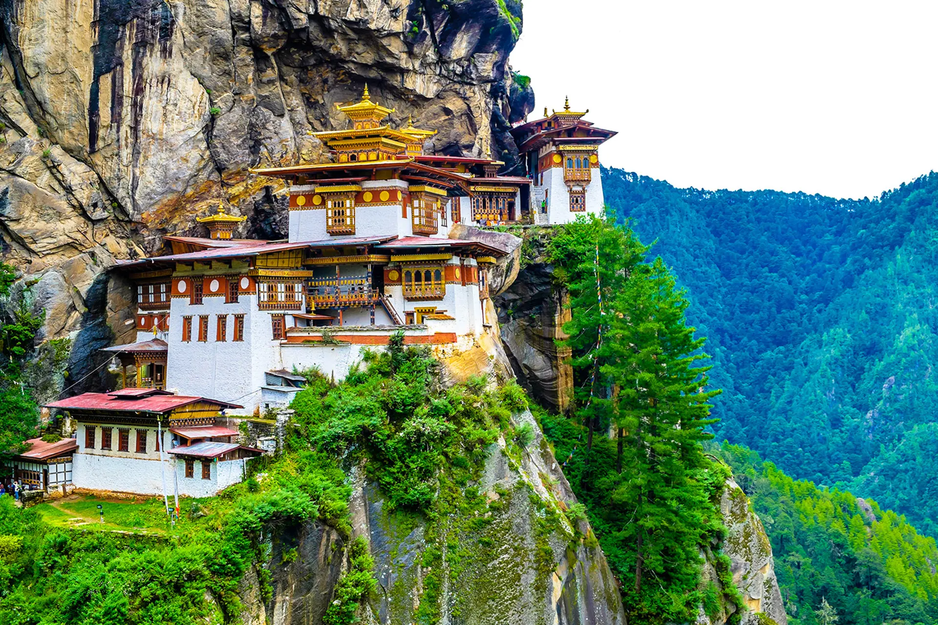 Lưu ý trekking Tiger’s Nest mùa hoa đỗ quyên 2026  cho người đi Bhutan lần đầu