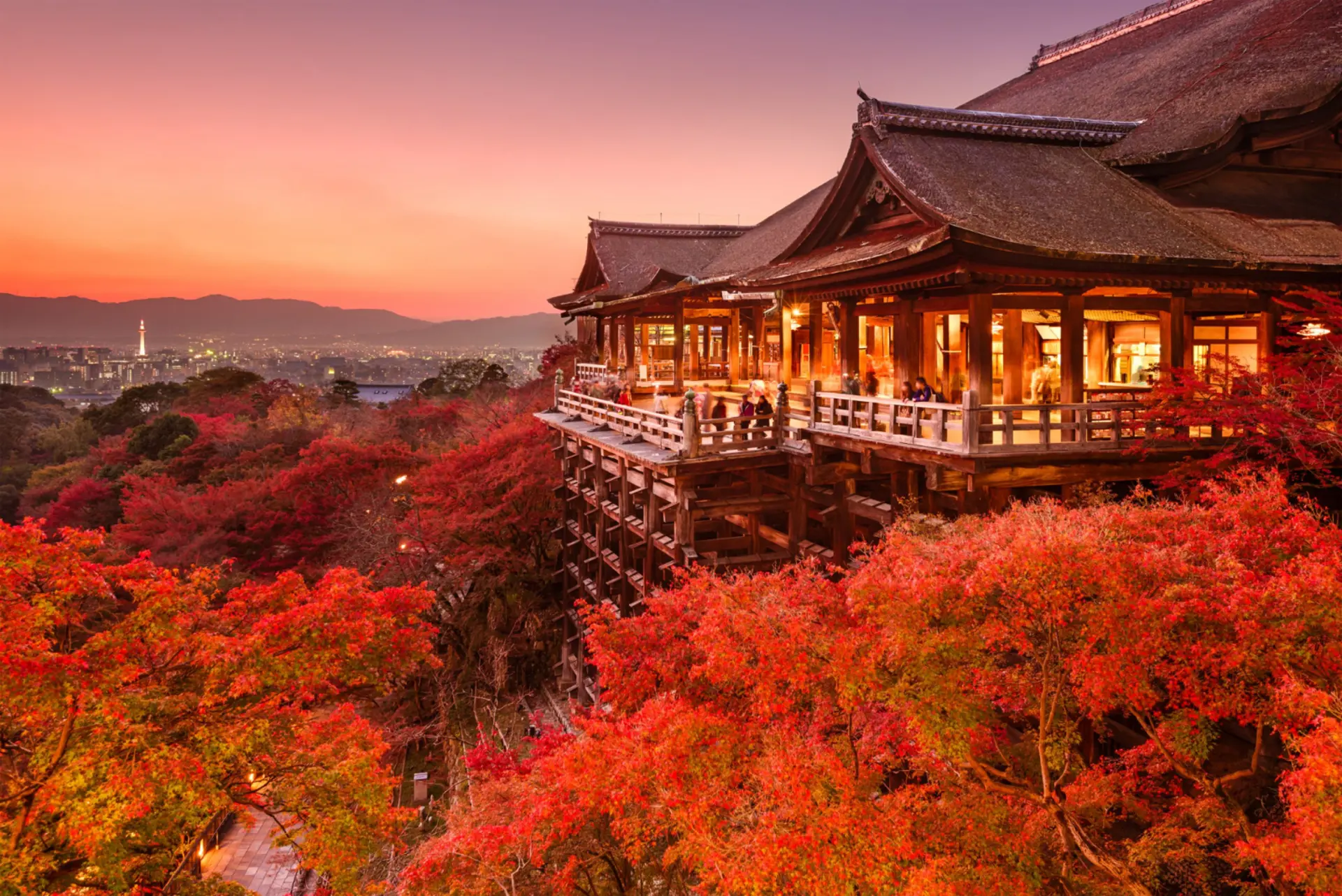 Kyoto mùa lá đỏ - Những ngôi chùa đẹp nhất nên ghé một lần 2026 
