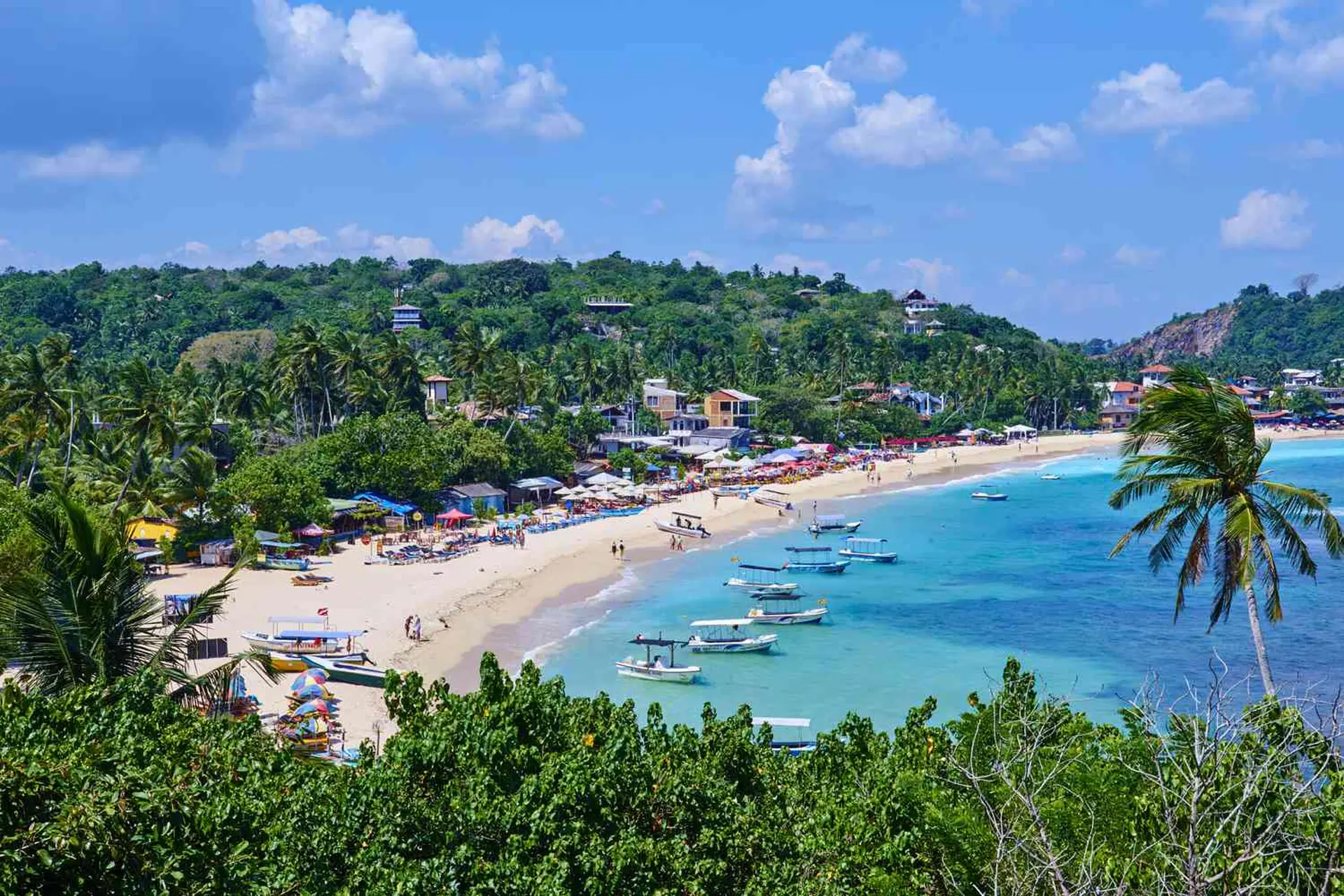 Du lịch Sri Lanka tháng mấy đẹp? So sánh tháng 10, 11 và 12 theo từng trải nghiệm