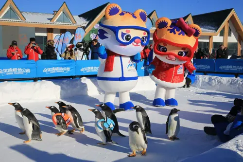 Harbin Polarland có gì? 5 trải nghiệm đáng thử nhất 