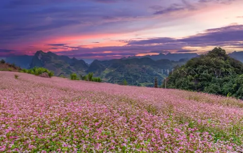 Tết Dương lịch 2027 đi đâu? 12 tour 3N2Đ không cần “xin thêm ngày phép”  