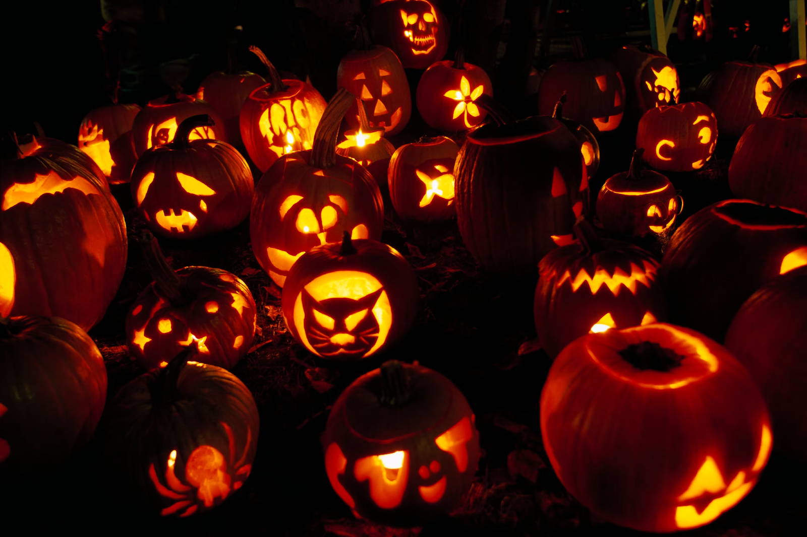 Thành phố Mỹ mùa đông & Halloween - Top 5 điểm đến lễ hội sôi động