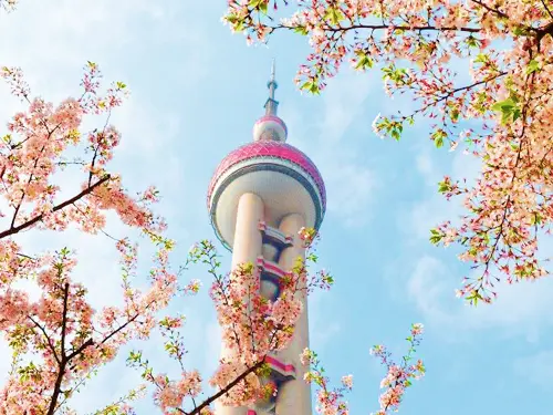 DU LỊCH TRUNG QUỐC: THƯỢNG HẢI – BẮC KINH – HÀNG CHÂU – Ô TRẤN (M3 TẾT 2025)