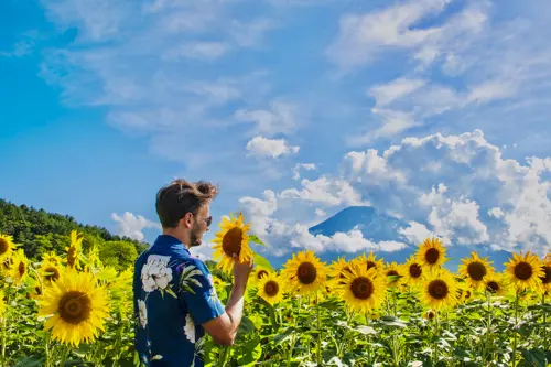 Tháng 7 Nên Đi Đâu Ở Nhật Bản? Gợi Ý 5 Điểm Đến “mát Lạnh” Giữa Mùa Hè