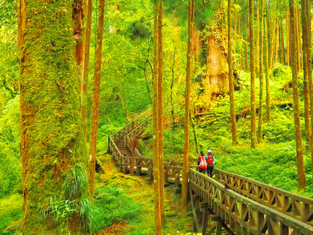 DU LỊCH ĐÀI LOAN: ALISHAN – ĐÀI TRUNG – ĐÀI BẮC 2026 (EVA)