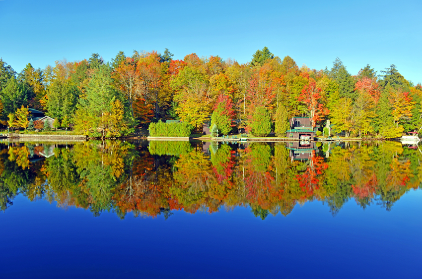 Cắm trại mùa thu Mỹ 2025 | Khám phá vẻ đẹp tự nhiên và trải nghiệm tuyệt vời