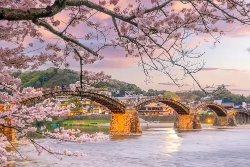 Kinh nghiệm du lịch Nhật Bản mùa hoa anh đào 2026 - Cẩm nang du lịch trọn gói cùng Triều Hảo 