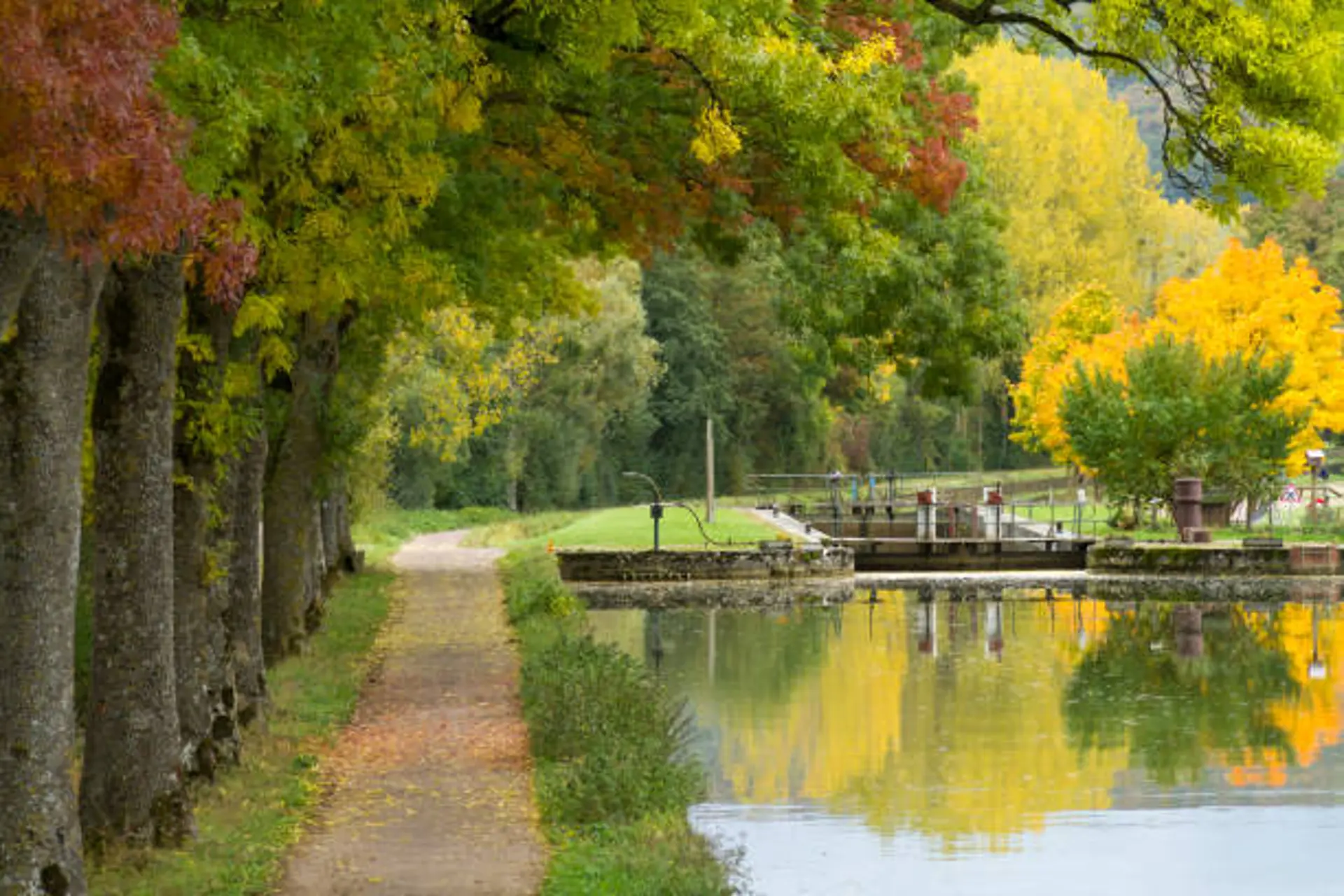 Đạp xe Burgundy mùa thu 2025 | Khám phá vẻ đẹp rực rỡ của vùng đất Pháp