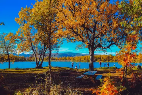 Du Lịch Oslo – Khi Mùa Thu Bắc Âu Nhẹ Nhàng Và Yên Bình