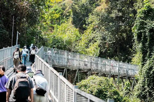 Khai Trương Vườn Thực Vật Chiang Mai: Điểm Tham Quan Nhiệt Đới Mới Lạ Cho Du Khách Yêu Thiên Nhiên