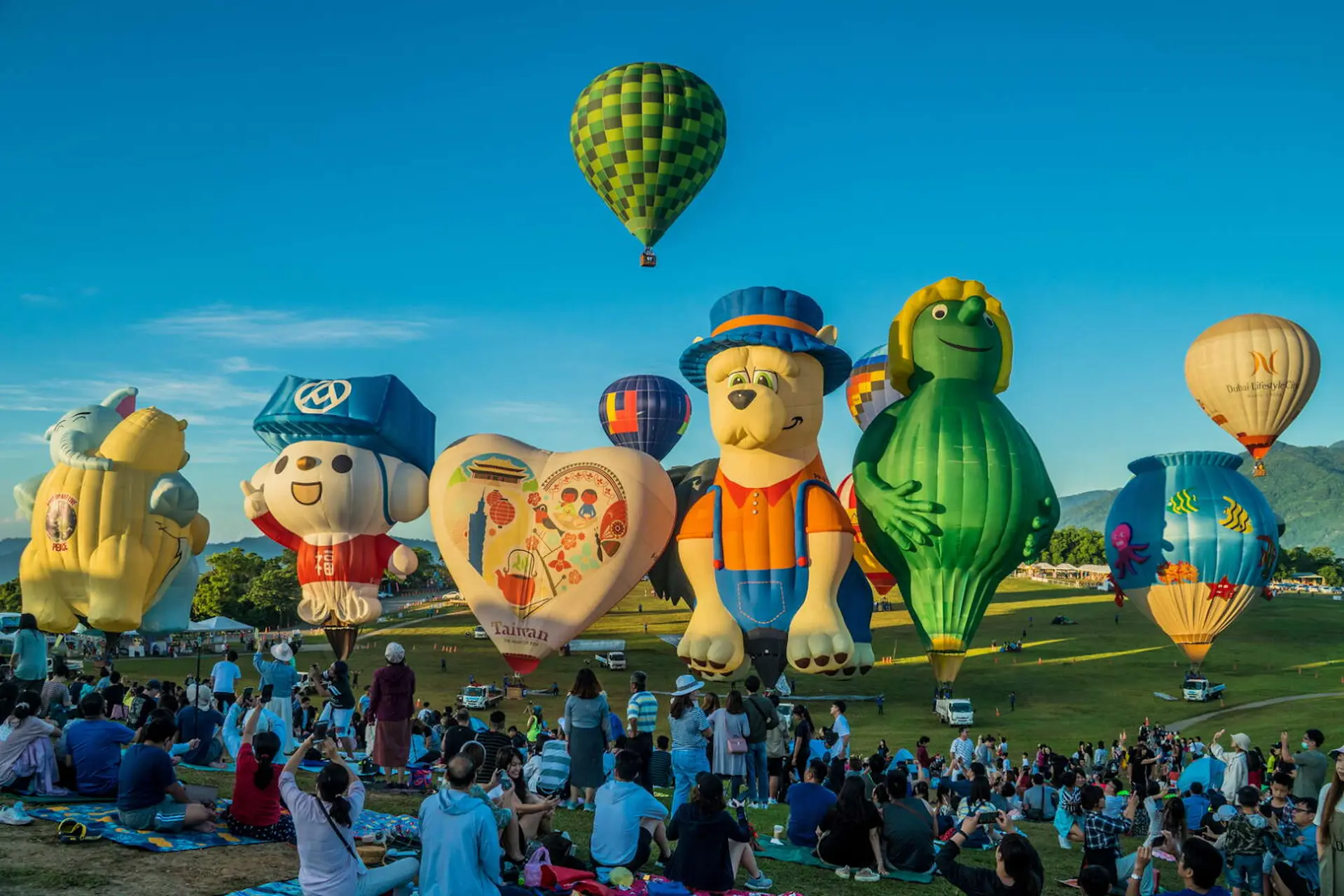 Đường Hầm Totoro Đài Đông: Điểm Sống Ảo "ghibli" Khiến Giới Trẻ Mê Mẩn