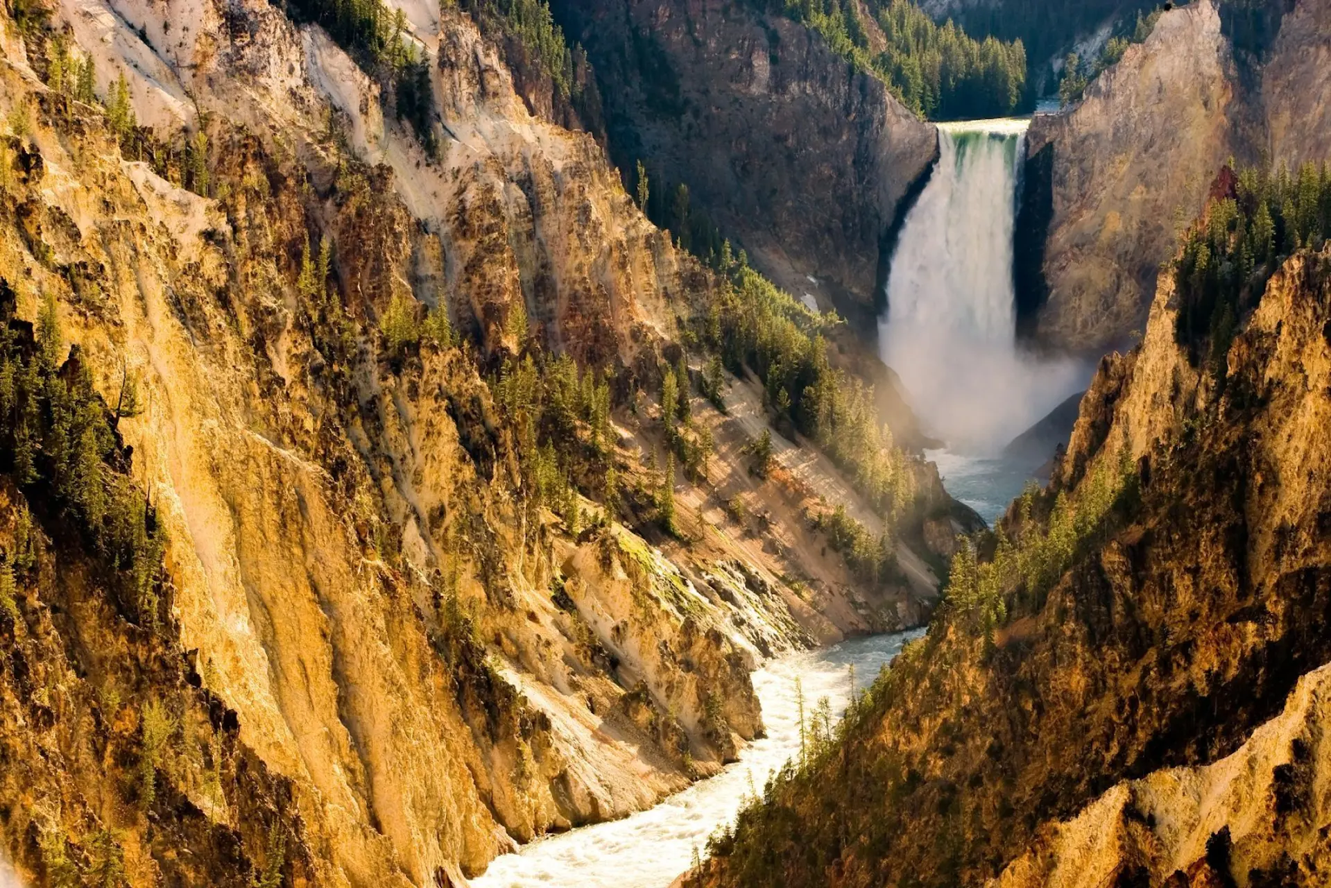 Yellowstone National Park – Thiên Nhiên Kỳ Thú Giữa Sắc Vàng Thu