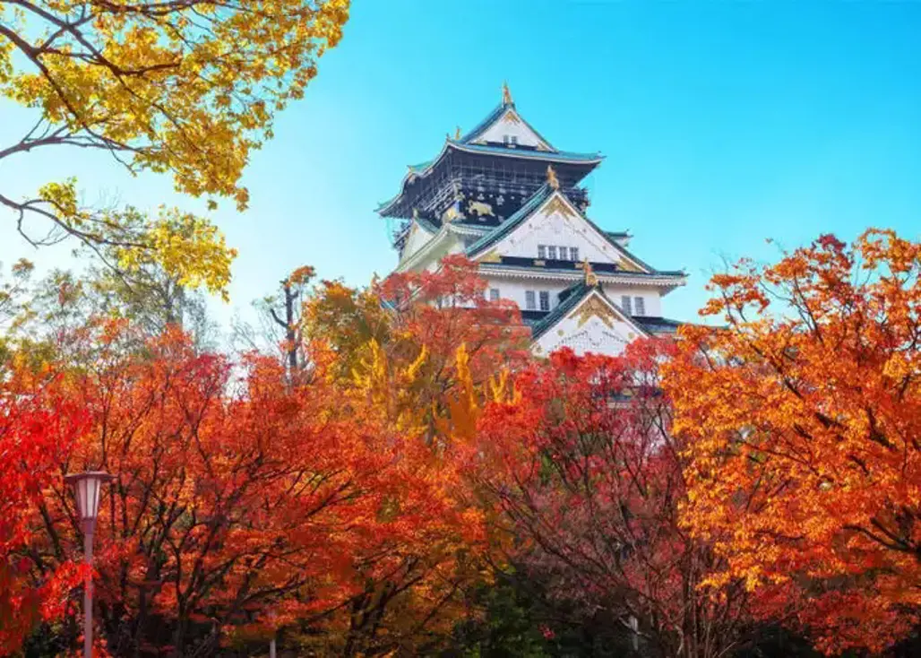 Du Lịch Nhật Bản: Osaka – Matsumoto – Tokyo  (2025)