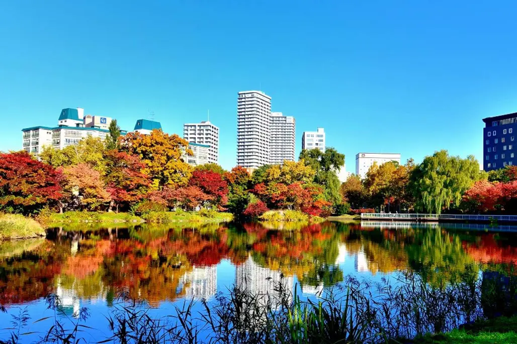 Du Lịch Nhật Bản: Hokkaido - Sapporo (2025)