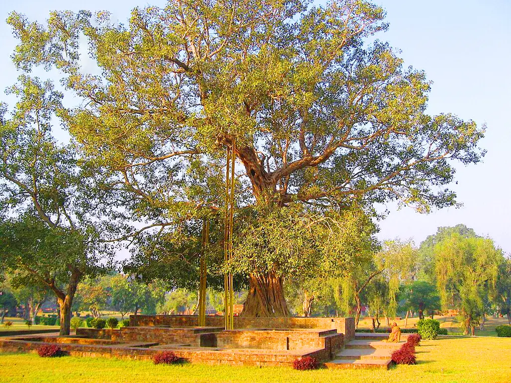 Du Lịch Hành Hương: Ấn Độ - Nepal  Lễ 30/4 (2025)