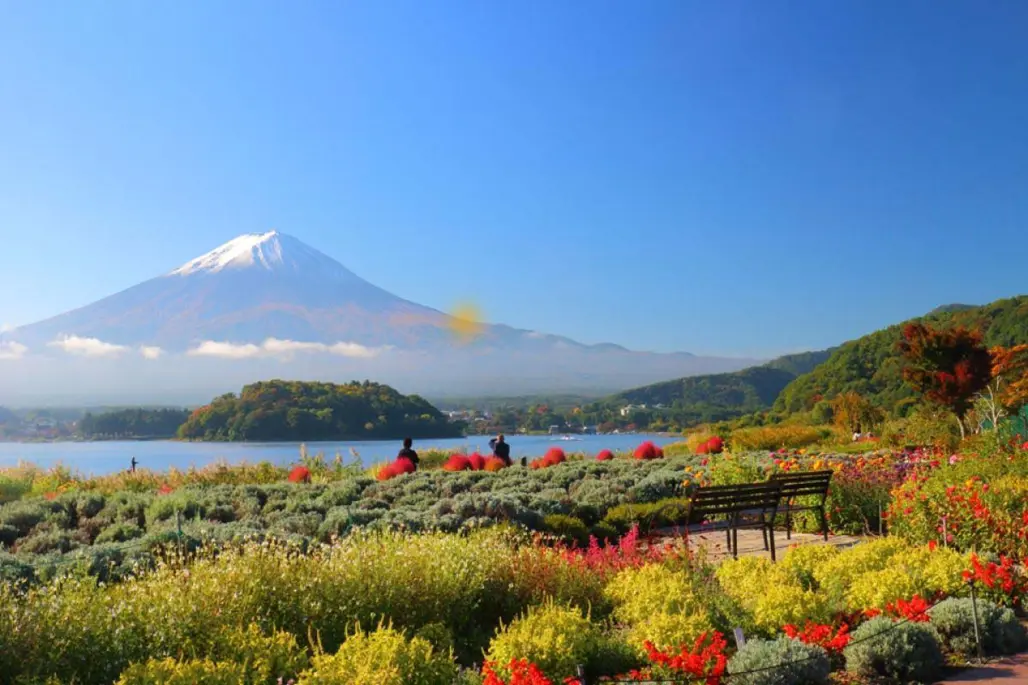 Du Lịch Nhật Bản: Narita - Tokyo - Yamanashi  (2025)