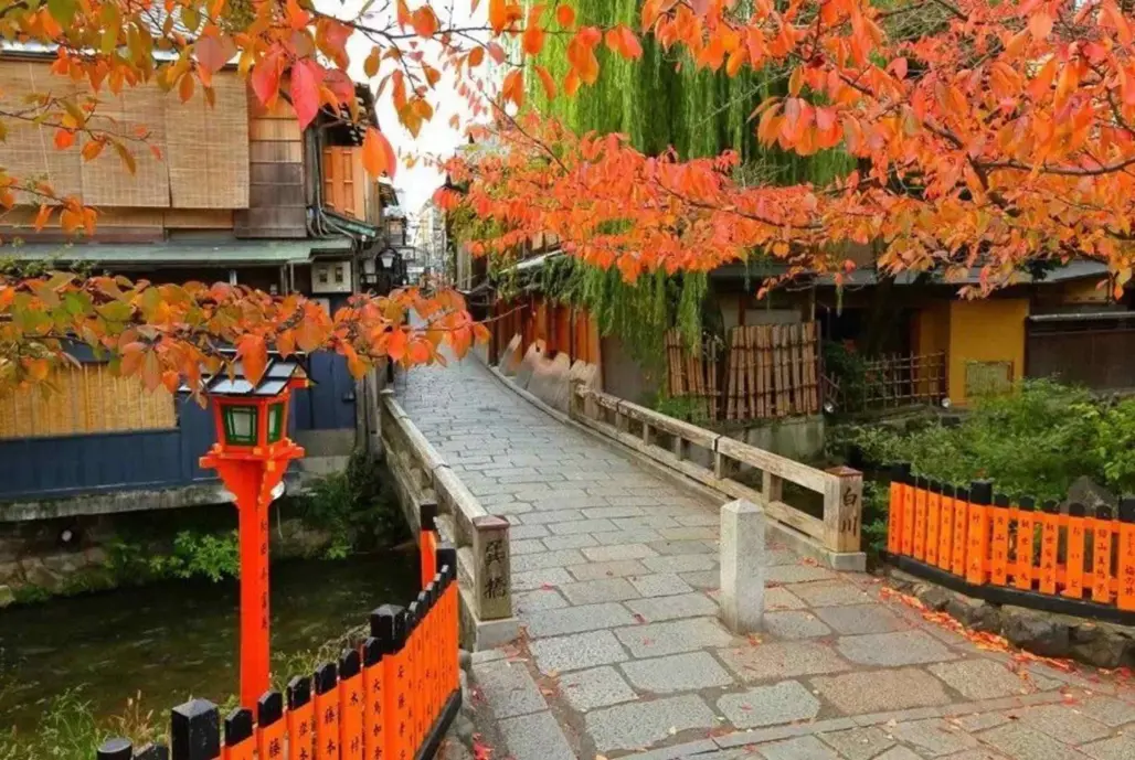 Du Lịch Nhật Bản: Narita - Tokyo - Yamanashi - Toyohashi (2025)