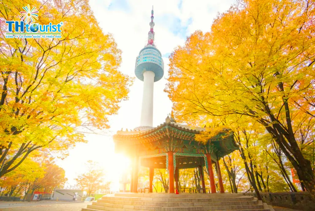 KHÁM PHÁ HÀN QUỐC: SEOUL - NAMI  (HÈ 2025)