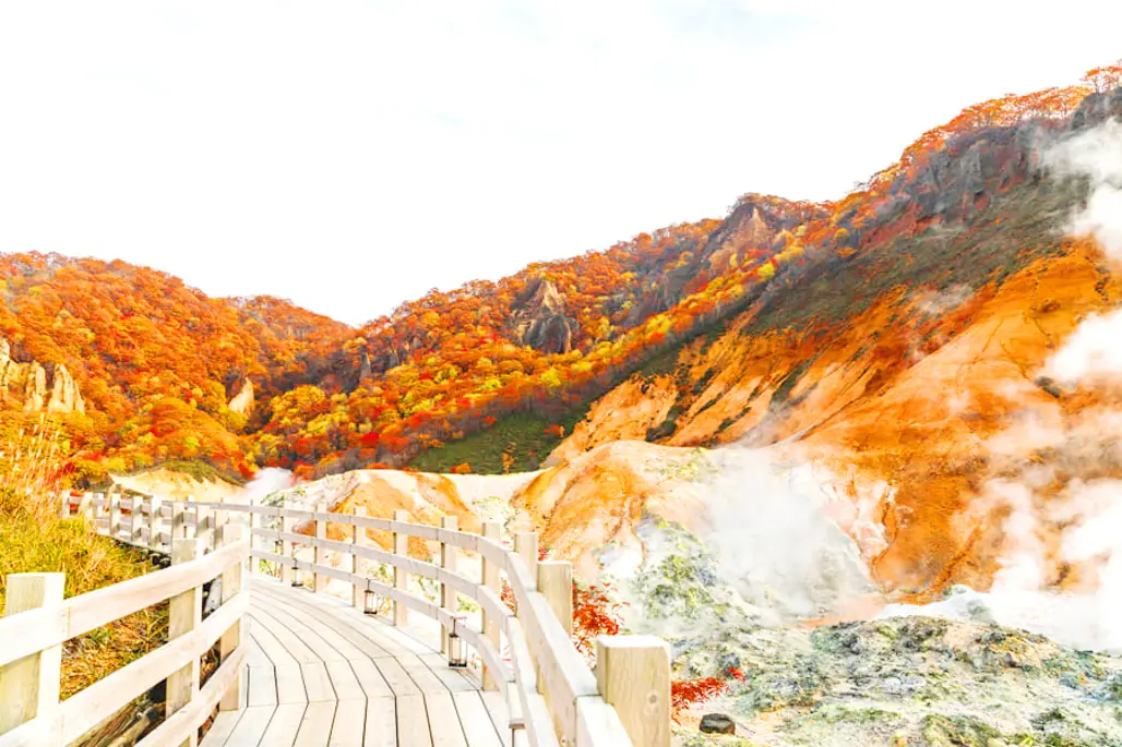 Du Lịch Nhật Bản: Hokkaido - Sapporo (2025)