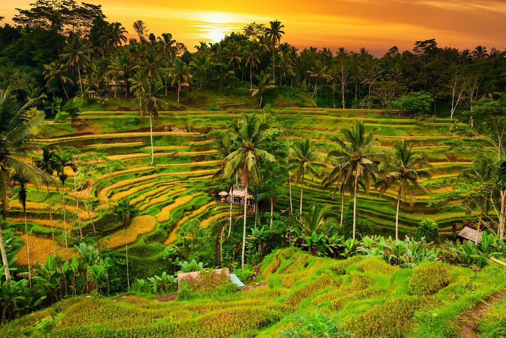 Du Lịch Indonesia: Thiên Đường Du Lịch Đảo Bali  (2025)