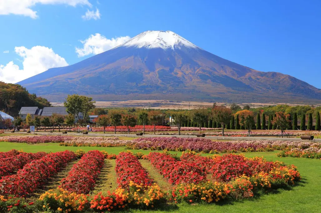 Du Lịch Nhật Bản: Osaka – Matsumoto – Tokyo  (2025)