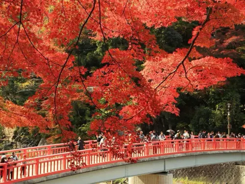 Công viên Korankei Aichi – Thung lũng lá đỏ đẹp nhất Nhật Bản