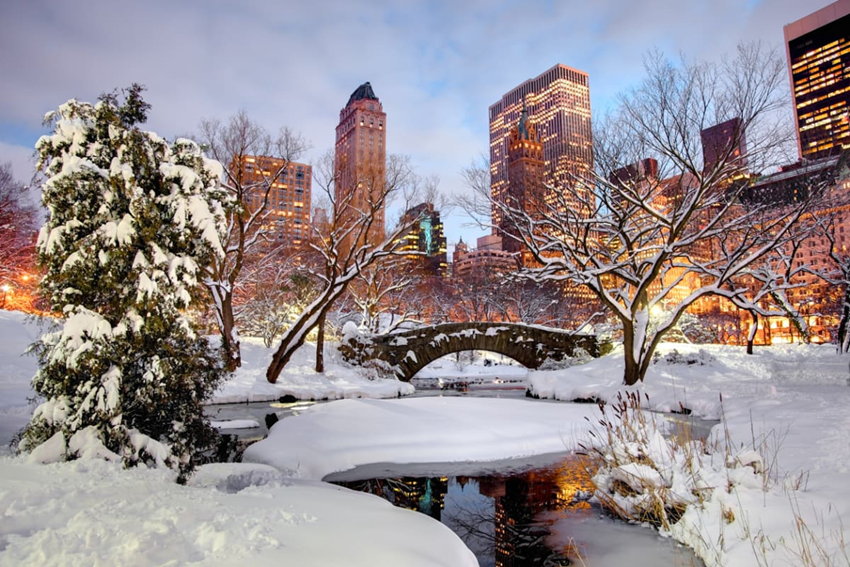 New York mùa đông 2025 | Central Park tuyết trắng & Times Square rực rỡ