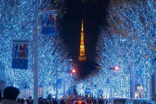 Tokyo Illumination mùa đông 2025 | Khám phá ánh sáng kỳ diệu của Tokyo!