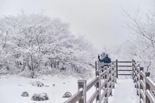 Jeju mùa đông 2025 – Vẻ đẹp kỳ ảo giữa khung cảnh núi Hallasan phủ tuyết