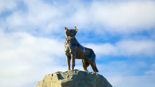 Tượng chó Colins Tekapo - Biểu tượng người bạn trung thành vùng Mackenzie 2025