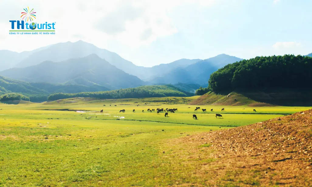 Du lịch Trung Quốc :THÀNH ĐÔ – ĐẠO THÀNH – Á ĐINH (2024)