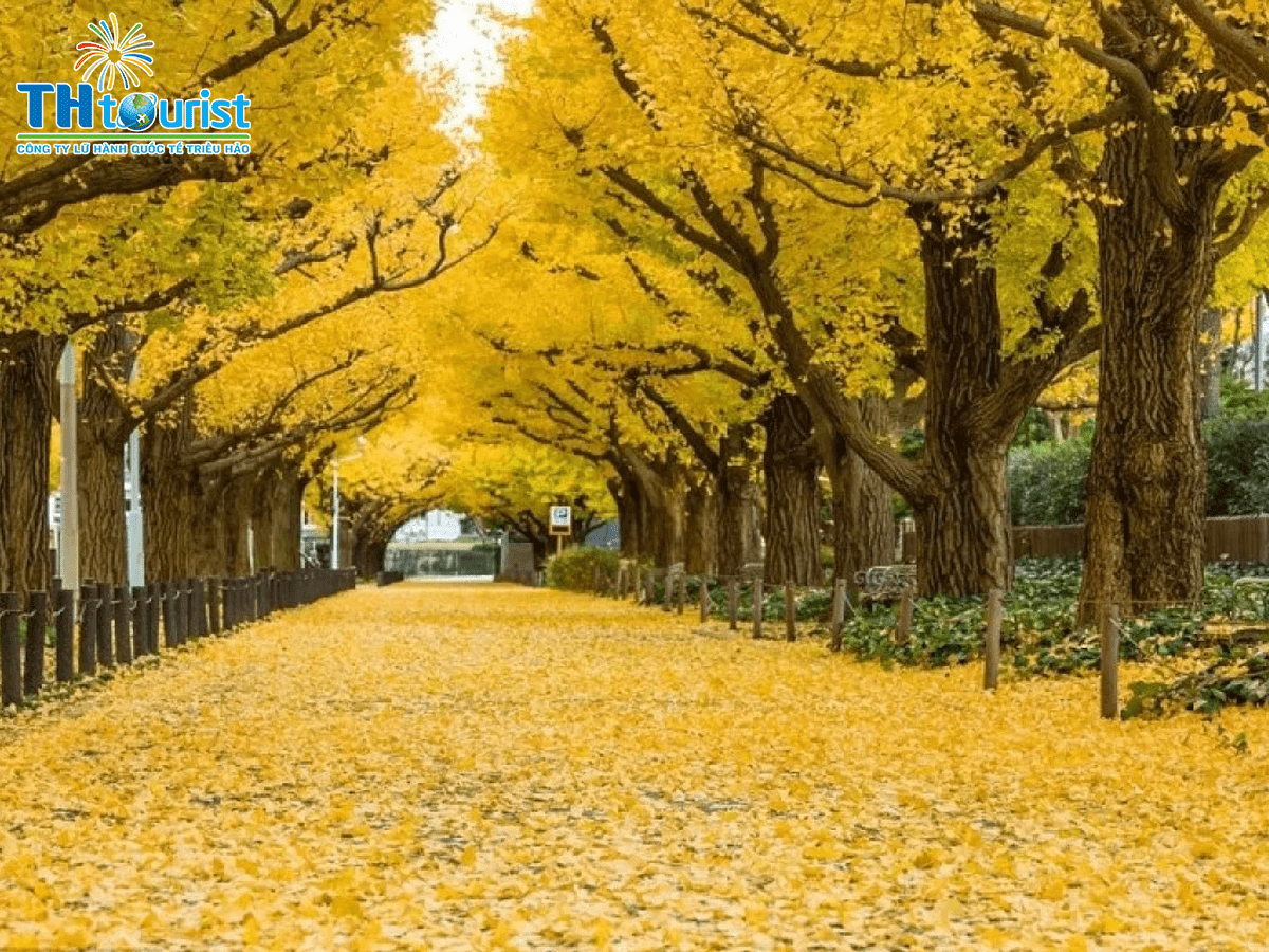 Hàn Quốc - đất nước xinh đẹp và lãng mạn | VIETRAVEL - Vietravel
